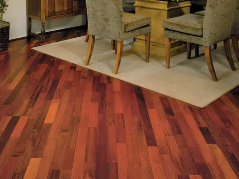 Dining room with reddish hardwood floor and area rug
