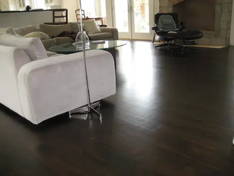 Living room with dark hardwood floor